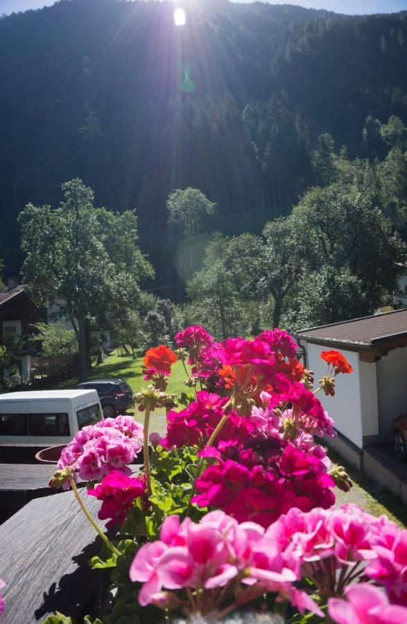 Appartement Britzerhof à Mayrhofen Extérieur photo